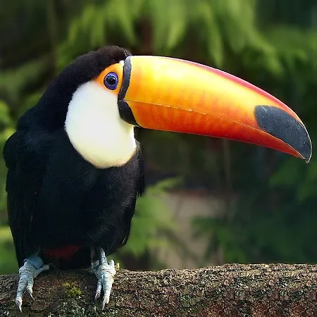 Krelinger Freizeit- Und Tagungszentrum Hotel Walsrode