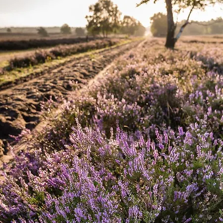 Hotel Krelinger Freizeit- Und Tagungszentrum